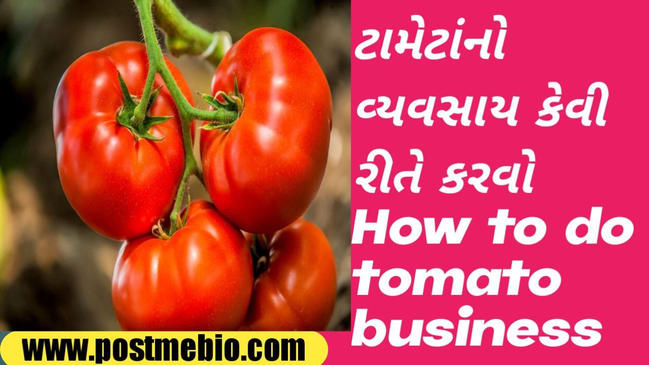 How to do tomato business