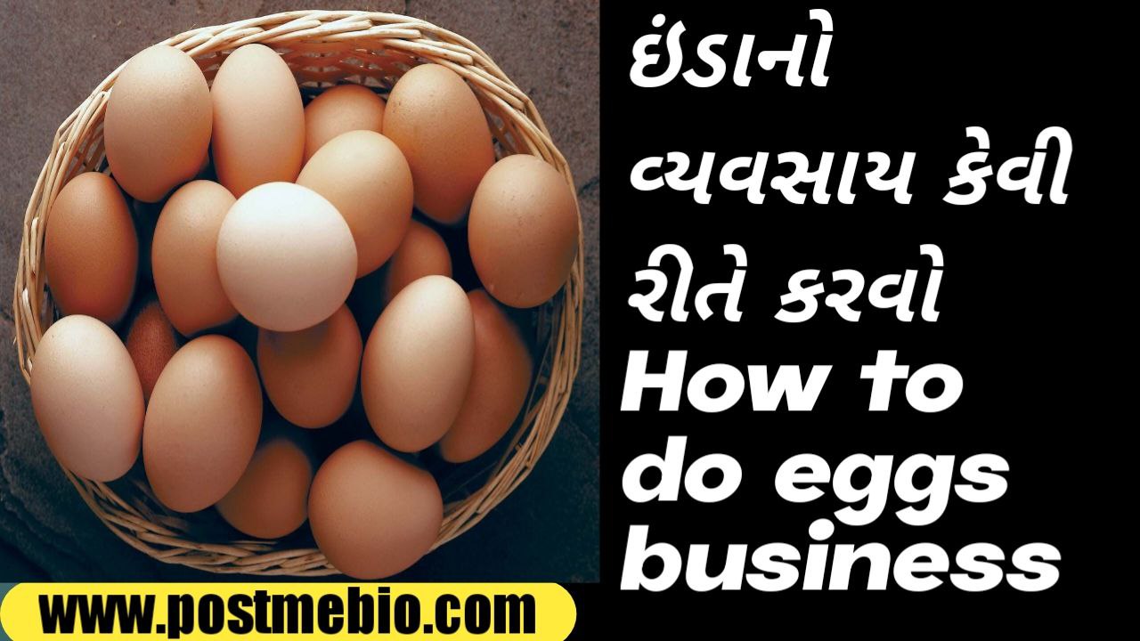 How to do eggs business